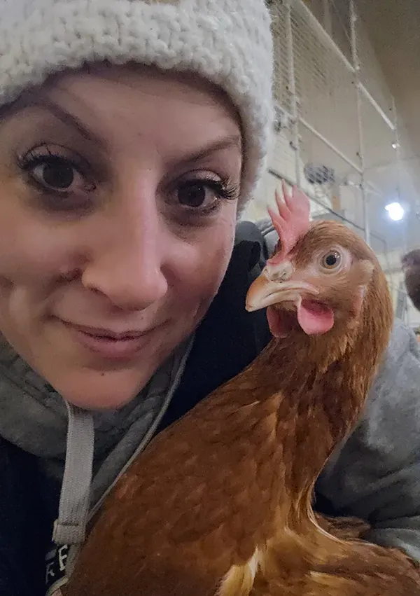 Gérante de fermewebp