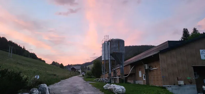 Ferme avicole hygiènewebp